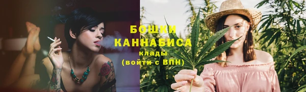 сатива Аркадак