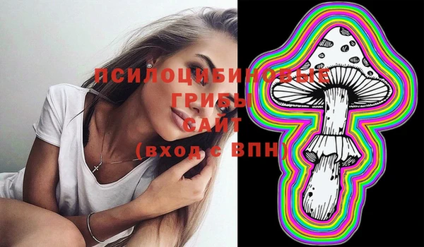 сатива Аркадак