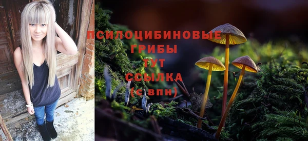 сатива Аркадак