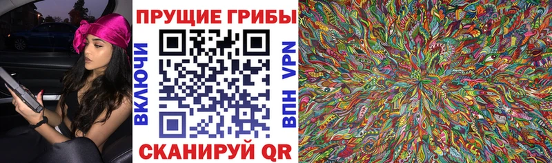 Псилоцибиновые грибы Cubensis  ОМГ ОМГ как зайти  Курган 
